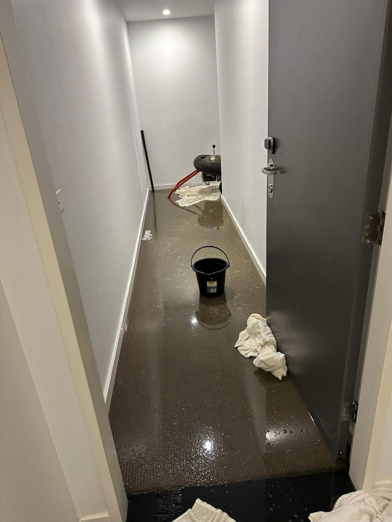 WhatsApp Image 2025-01-17 at 18.57.46 (2)