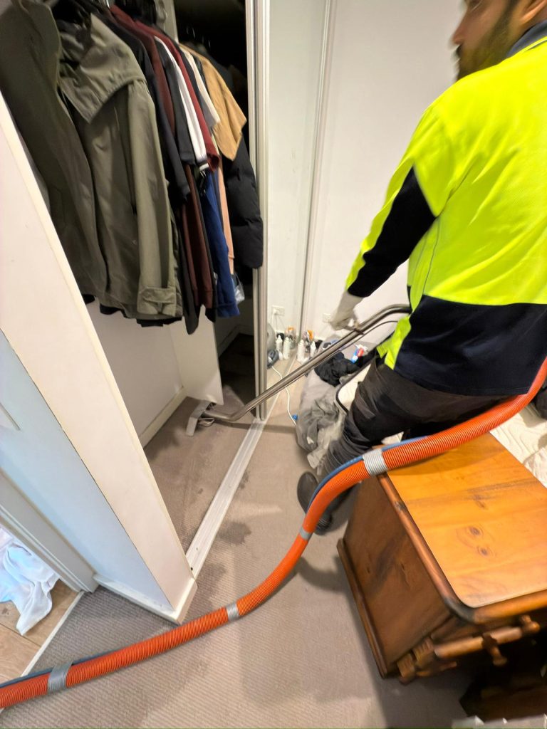 WhatsApp Image 2025-01-17 at 18.57.53 (1)