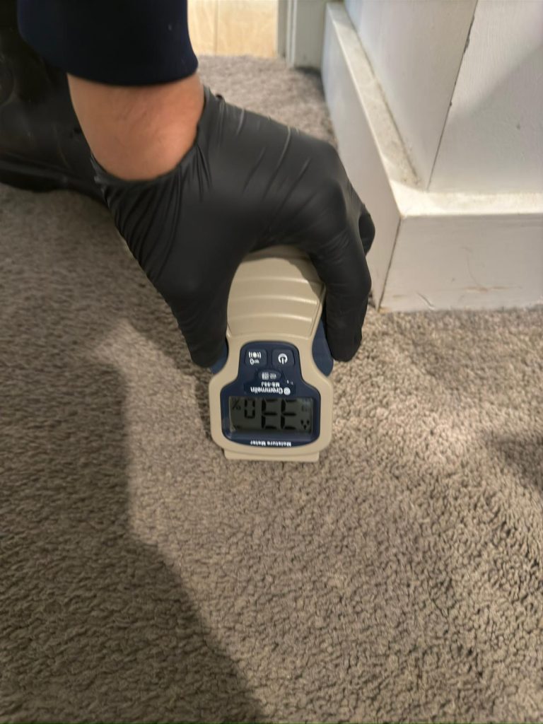 WhatsApp Image 2025-01-17 at 18.58.04 (1)